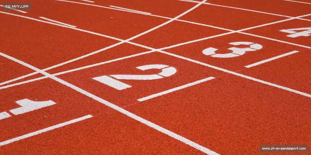 PandaSports——从 0 到 1,构建属于你的宇宙!